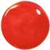 Poppy