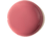 Rose Bud
